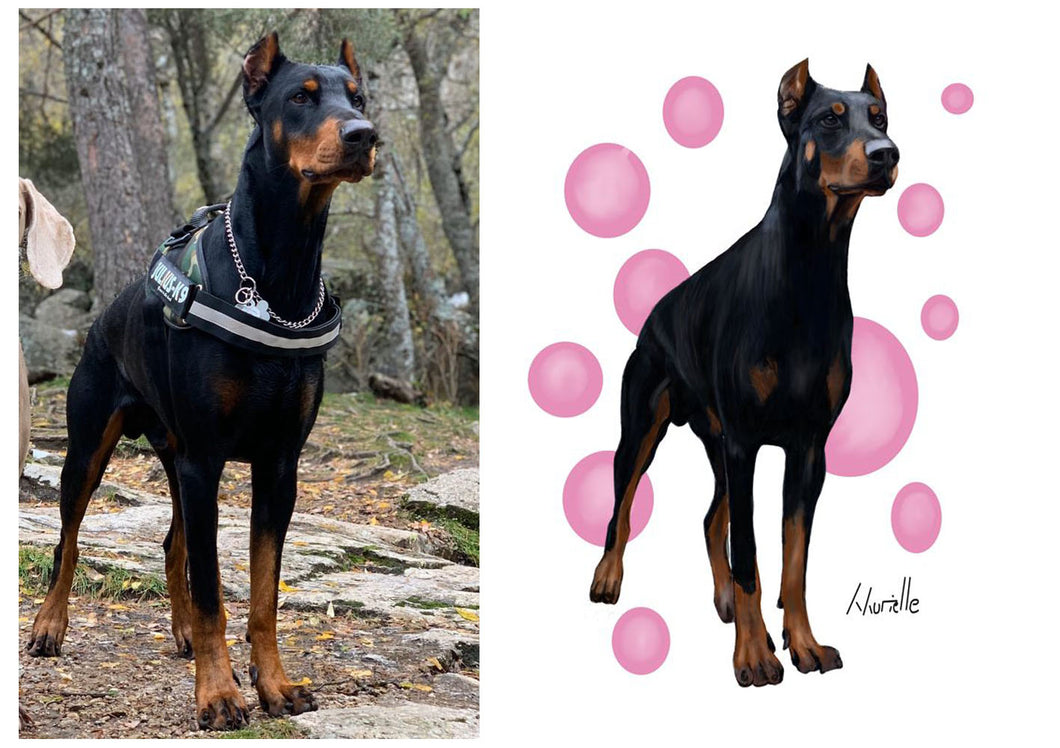 Retrato Doberman fondo burbujas rosas